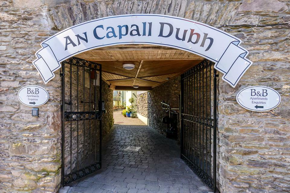 Dingle Centre Townhouse An Capall Dubh Дінгл Екстер'єр фото